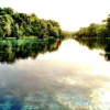 Отель Grand Lakefront Resort Club Usa / Holly Bluff Mari, фото 5