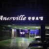Отель Anesville, фото 22