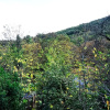Отель Dandyvillas Vintage Cottage House Argalasti Kallithea Pelion, фото 17