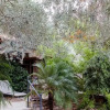 Отель Guest House 4 Stars Afissos, фото 13
