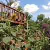 Отель Ratanak Teprithea Home Stay, фото 11