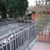 Отель Villa Fiore, фото 19