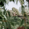 Отель Belmont Homestead, фото 38