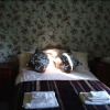 Отель Vine Cottage B&B, фото 4