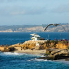 Отель Soledad by Avantstay Oceanfront Haven in La Jolla Beachside Tidal Pools!, фото 15
