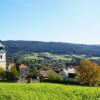 Отель Landgasthof Zur Blauen Traube, фото 27