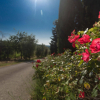Отель Relais Santa Cristina, фото 6