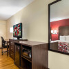 Отель Red Roof Inn Cincinnati Airport–Florence/ Erlanger, фото 4
