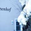 Отель Alpenhof, фото 50