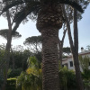 Отель VILLA ISCLA maison d'hôtes, фото 12
