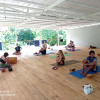Отель Don Jons Lodge -Surf & Yoga, фото 17