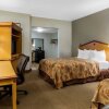 Отель Econo Lodge Inn & Suites, фото 6