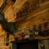 Отель Panther Creek Cabins, фото 25