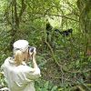 Отель Sanctuary Gorilla Forest Camp, фото 9