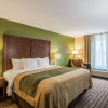 Отель Comfort Inn & Suites, фото 3