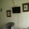 Отель Pine Tree Inn, фото 23
