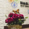 Отель DimAL Hostel Almaty, фото 2
