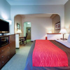 Отель Comfort Inn Moss Point - Pascagoula, фото 5