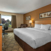 Отель Comfort Inn Parry Sound, фото 27