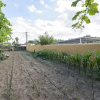 Отель Rincon De La Huerta in Chiclana de la Frontera, фото 17