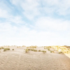Отель Manderley 204 Studio Directly on the Dunes, фото 13