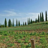 Отель Antica Tenuta Le Casacce, фото 17