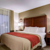 Отель Comfort Inn & Suites Clemson - University Area, фото 4