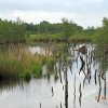 Отель Stichting Veenloopcentrum Weiteveen, фото 9