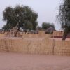 Отель Ecolodge de Koba в Сэм Ябал
