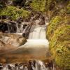 Отель Paraíso Quetzal Lodge, фото 14