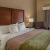 Отель Comfort Inn Midland South I-20, фото 5