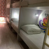 Отель Golden Tram 242 Lisbonne Hostel, фото 5