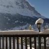 Отель Apartment Jungfrau Lodge, фото 7