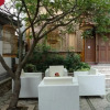 Отель Lijiang Ivy Garden Mountain View Hotel, фото 17