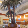 Отель Julian Forest Suites, фото 2