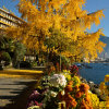 Отель Royal Plaza Montreux, фото 47