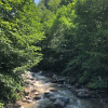 Отель Ayder Çalikuşu Bungalov, фото 9