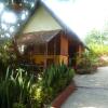 Отель Old Tree's House, фото 8
