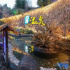 Отель SHIJIYUAN Hot Spring Holiday Hotel, фото 15