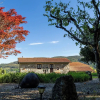 Отель Stone House Casa das Pedras, фото 7