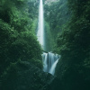 Отель Swarga Lodge and Homestay, фото 11
