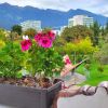 Отель Inti Quito, фото 2
