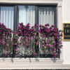 Отель Little Sofia Hotel, фото 1