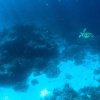 Отель Aore Breeze, фото 22
