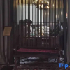 Отель Yakamoz Haijie Hotel, фото 17