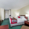 Отель Ramada Plaza Calgary Airport Hotel and Conference Centre, фото 4