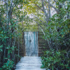 Отель Nativus Glamping & Cenote Tulum, фото 1