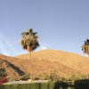 Отель Delos Reyes Palm Springs, фото 19