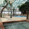 Отель Wildwood Inn Tropical Dome & Theme Suites, фото 33