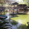 Отель Chácara Pequeno Paraíso, фото 48